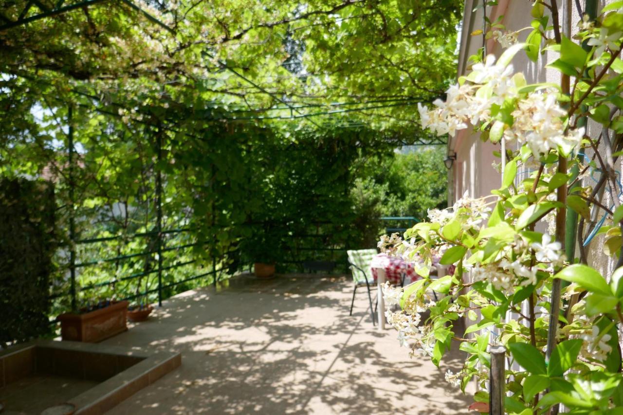 Ecohouse Risan Studio Exterior photo